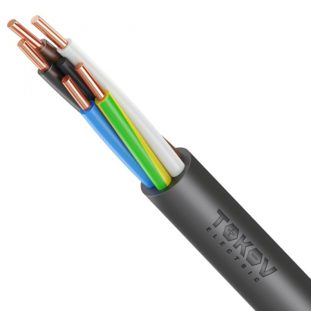 Кабель TOKOV ELECTRIC ППГнг(А)-HF 5х10 ОК (N PE) 1кВ (м) ТХМ00416253