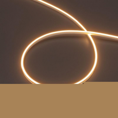 Лента светодиодная MOONLIGHT-SIDE-T-M196-03x06mm 24V Warm 2300К 7.2Вт/м IP54 2216 wire x2 прямой вывод кабеля герметичная (уп.5м) Arlight 039572