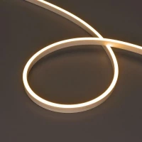Лента светодиодная MOONLIGHT-SIDE-A120-06x12mm 24V Warm 2700К 9.6Вт/м IP65 wire x2 прямой вывод кабеля герметичная (уп.5м) Arlight 041036