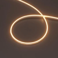 Лента светодиодная MOONLIGHT-SIDE-T-M196-03x06mm 24V Warm 2300К 7.2Вт/м IP54 2216 wire x2 прямой вывод кабеля герметичная (уп.5м) Arlight 039572